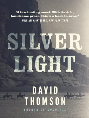 cover image of Silver Light
